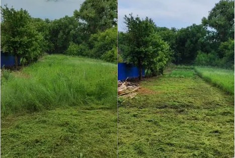 Покос травы и сложных кустарников Покос травы и сложных кустарников