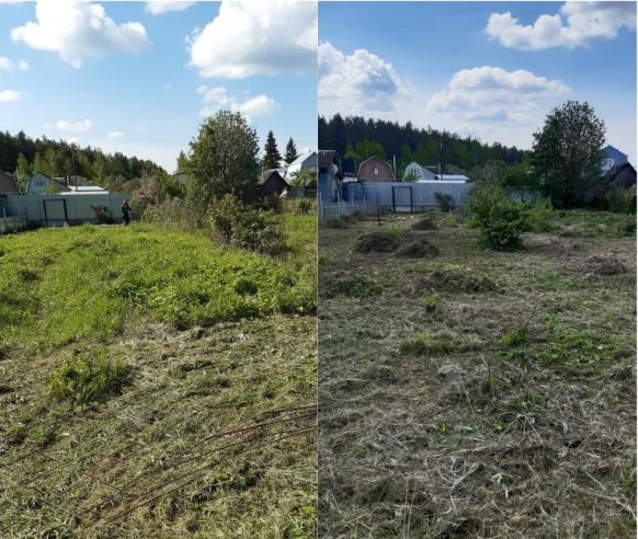 Покос и уборка травы на участке 5 с Покос и уборка травы на участке 5 с